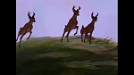 Bambi picture