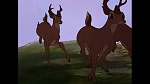 Bambi picture
