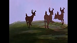 Bambi picture