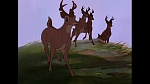 Image Bambi