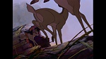 Bambi picture