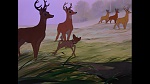 Bambi picture