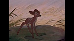 Bambi picture