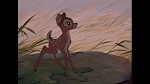 Bambi picture