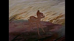 Bambi picture