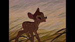 Bambi picture