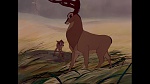 Bambi picture