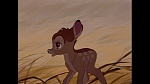 Bambi picture