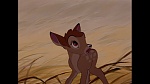 Bambi picture