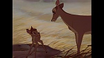Bambi picture