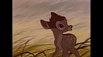 Bambi picture