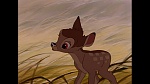 Bambi picture