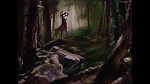 Bambi picture