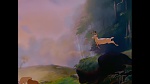 Bambi picture