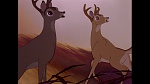Bambi picture