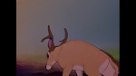 Bambi picture
