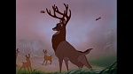 Bambi picture