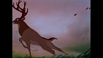 Bambi picture