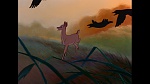 Bambi picture