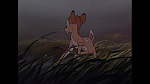 Bambi picture