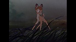 Bambi picture