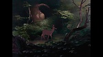 Bambi picture