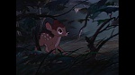 Bambi picture