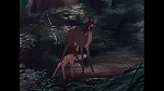 Bambi picture