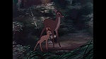 Bambi picture