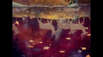 Bambi picture