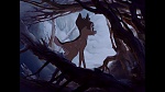 Bambi picture