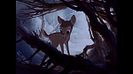 Image Bambi
