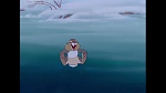 Image Bambi