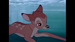 Bambi picture
