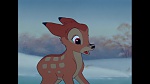 Image Bambi