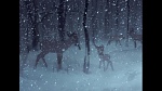 Image Bambi