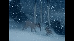 Image Bambi