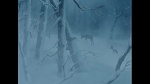 Image Bambi