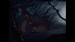 Image Bambi