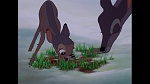 Image Bambi