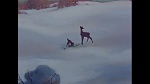 Image Bambi