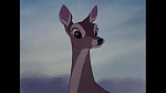 Image Bambi