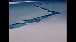 Image Bambi