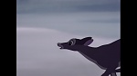 Image Bambi