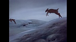 Bambi picture