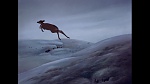 Image Bambi