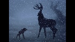 Image Bambi