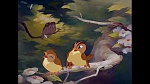 Image Bambi