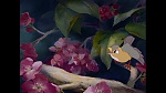 Image Bambi