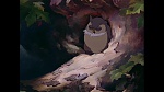 Image Bambi